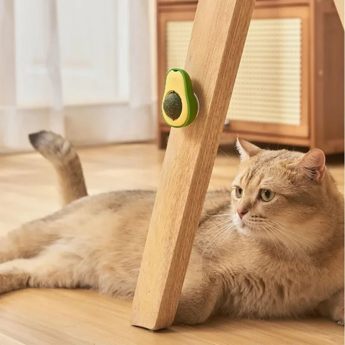 PatiKöşk™ Kedi Nanesi Avokado Oyun Topu (Ürün Kodu: PK 29)