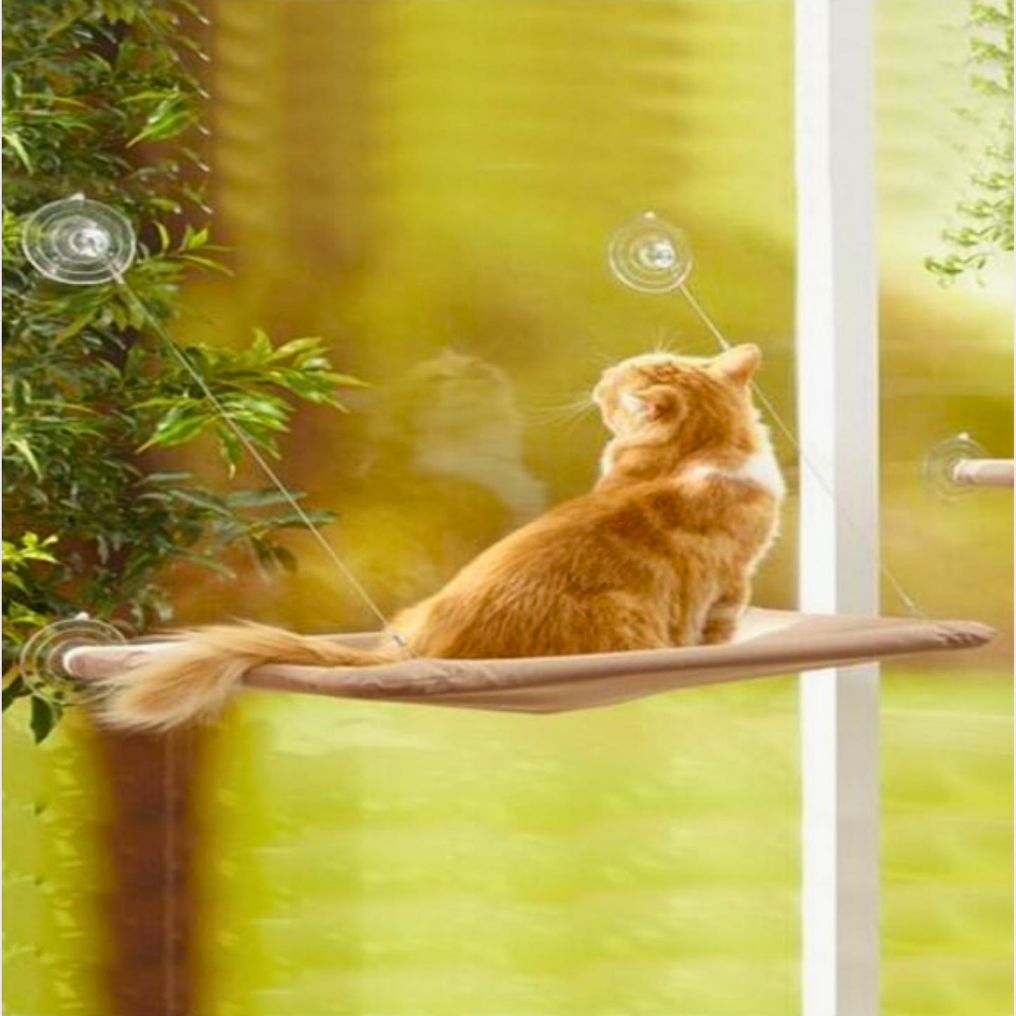PatiKöşk™ Cama Asılan Kedi Yatağı