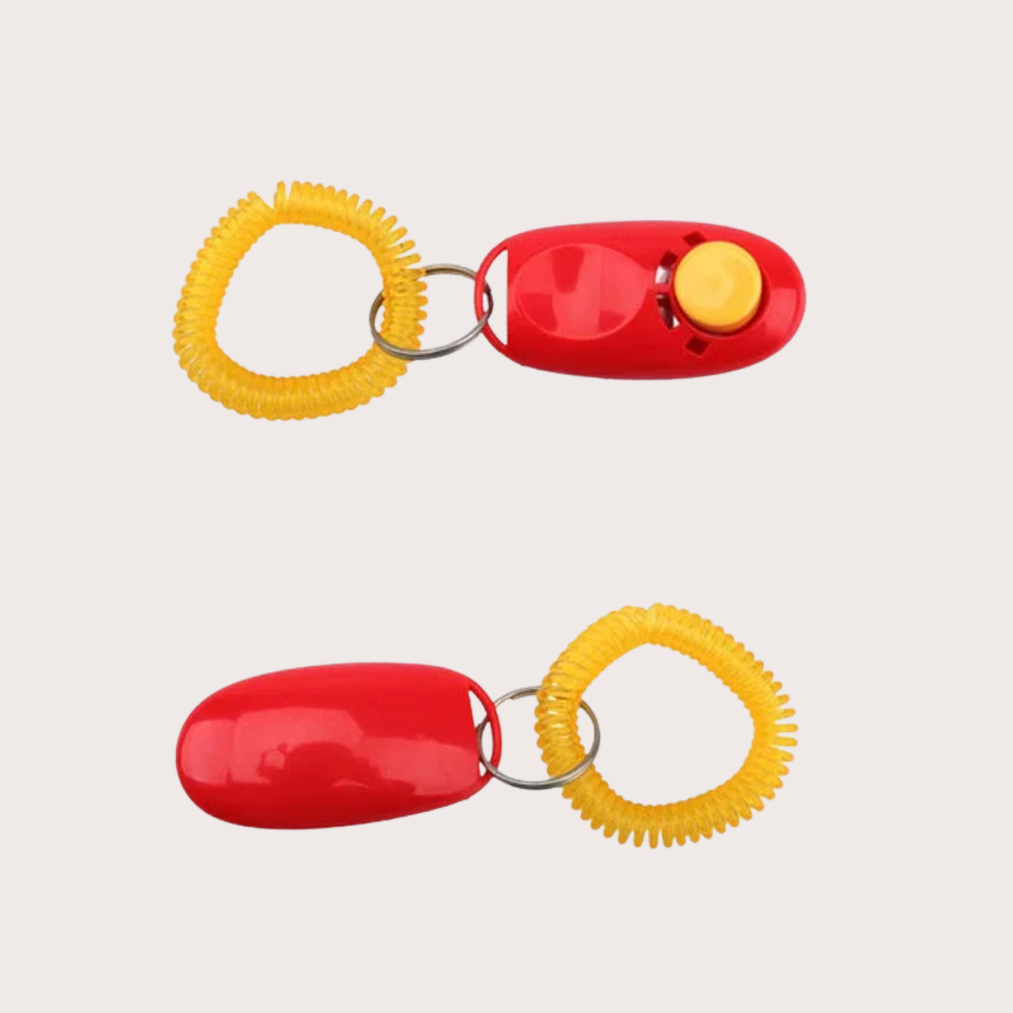 PatiKöşk™ Clicker Temelli Köpek Eğitimi