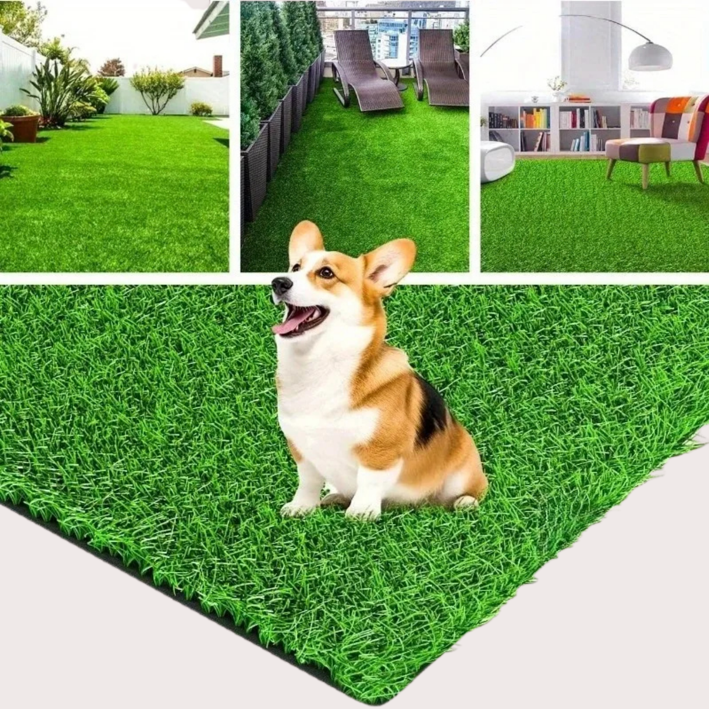 PatiKöşk™ Köpek Tuvalet Eğitim Seti