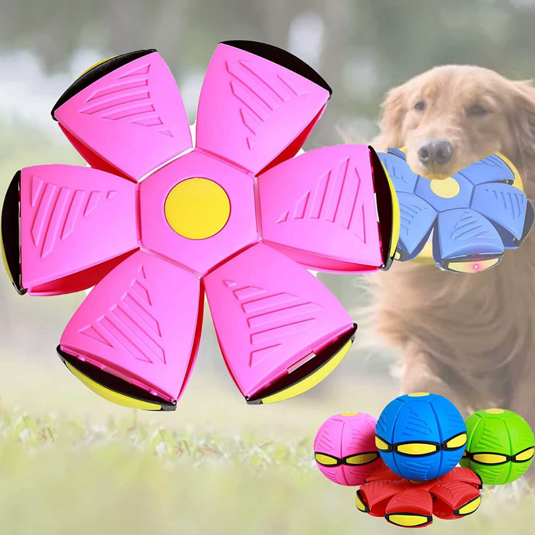 PatiKöşk™ Işıklı Zıplayan Frizbi Evcil Hayvan Uçan Ufo Topu