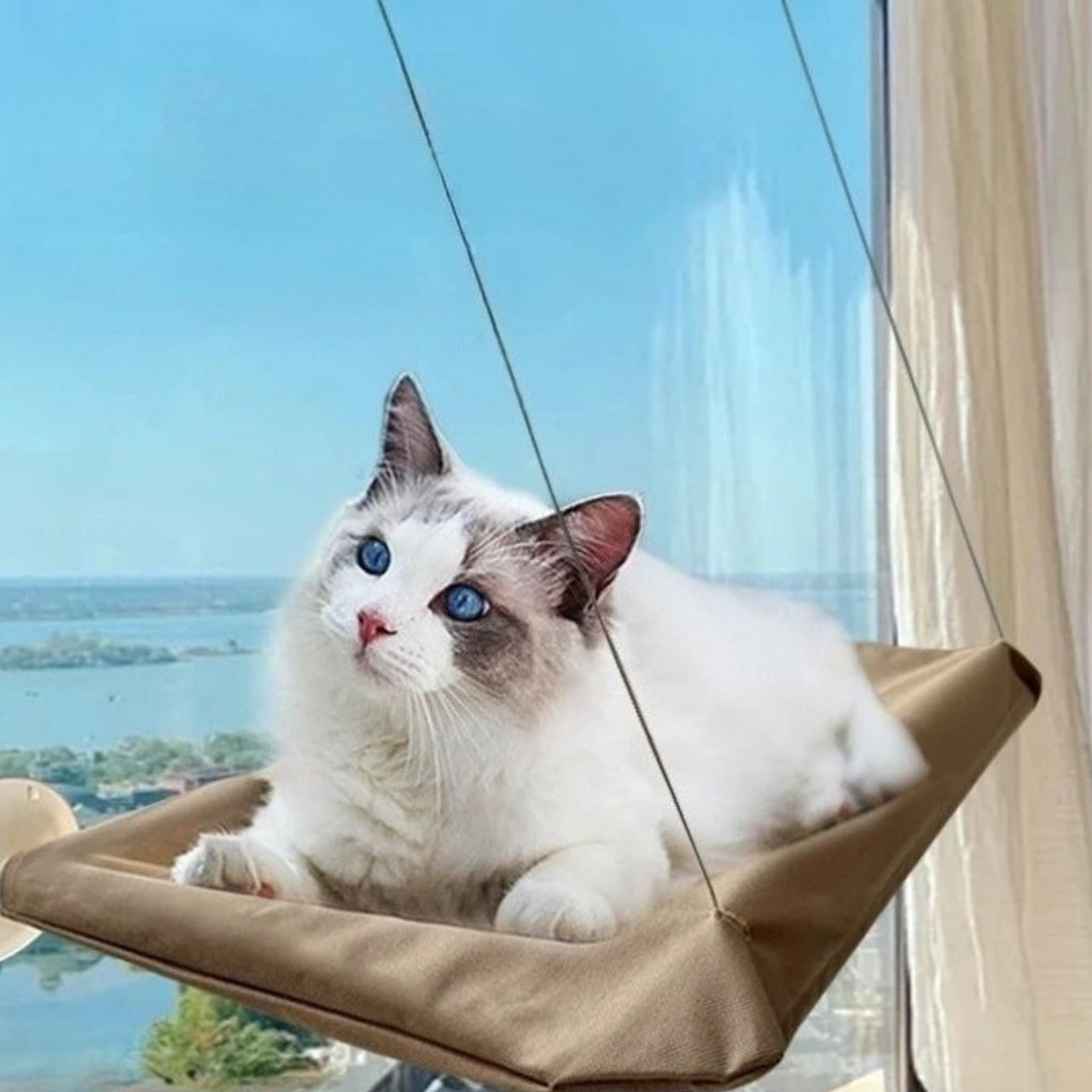 PatiKöşk™ Cama Asılan Kedi Yatağı