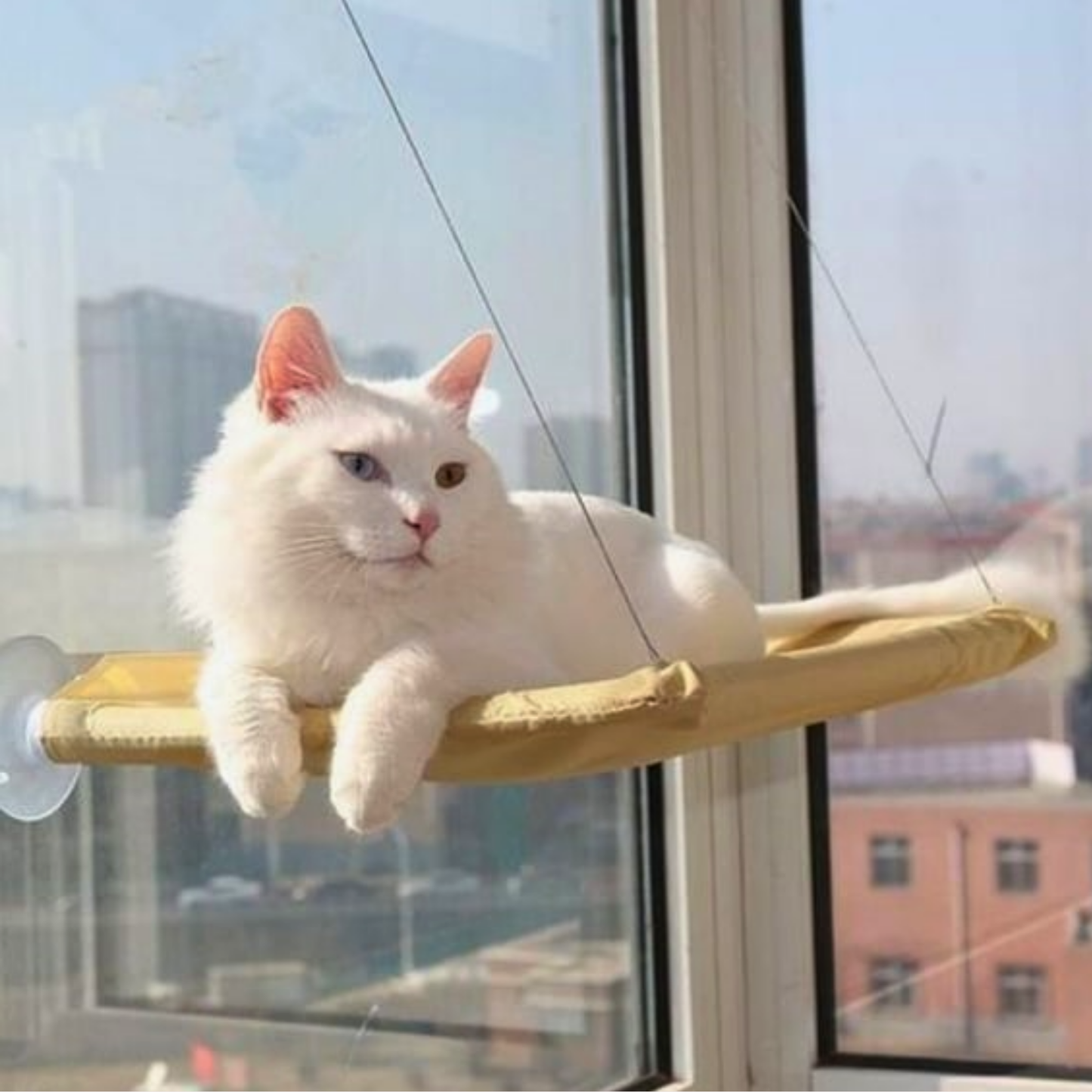 PatiKöşk™ Cama Asılan Kedi Yatağı