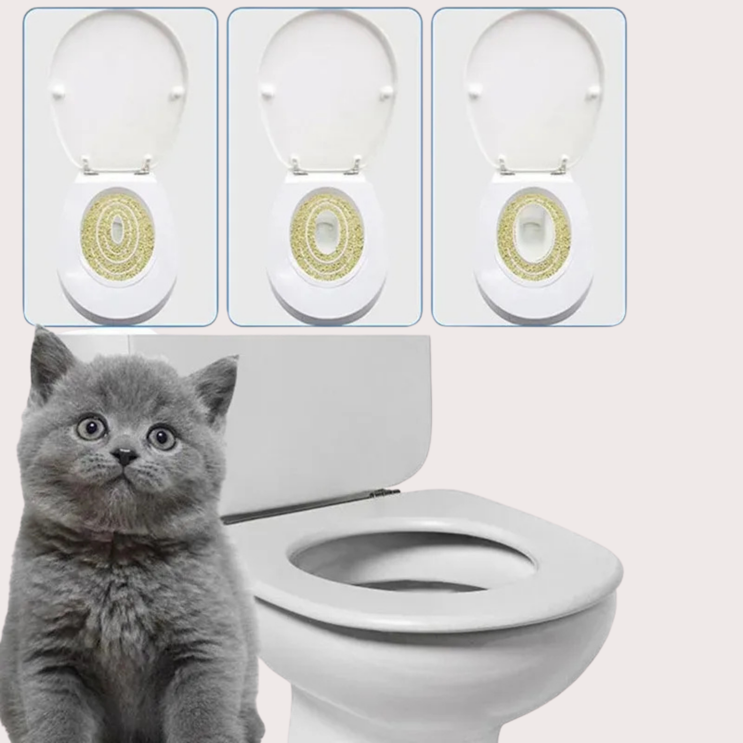PatiKöşk™ CitiKitty Kedi Tuvalet Eğitim Seti (Ürün Kodu: PK 52)