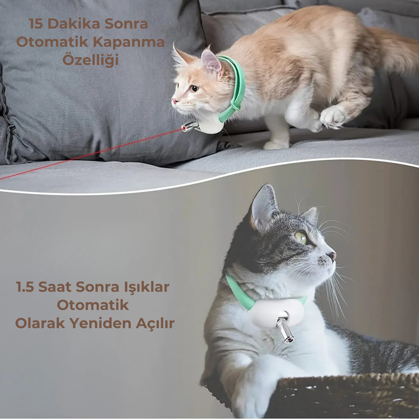 PatiKöşk™ Otomatik Lazerli Oyun Tasması