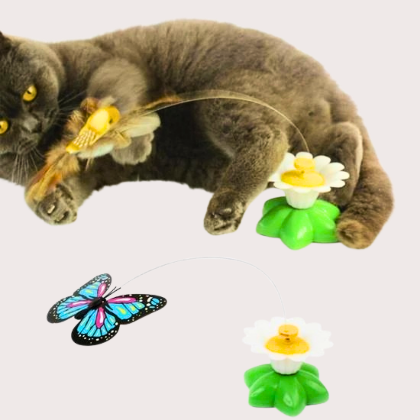 PatiKöşk™ Hareketli Pilli Kelebek Kedi Oyuncağı (Ürün Kodu: PK 121)