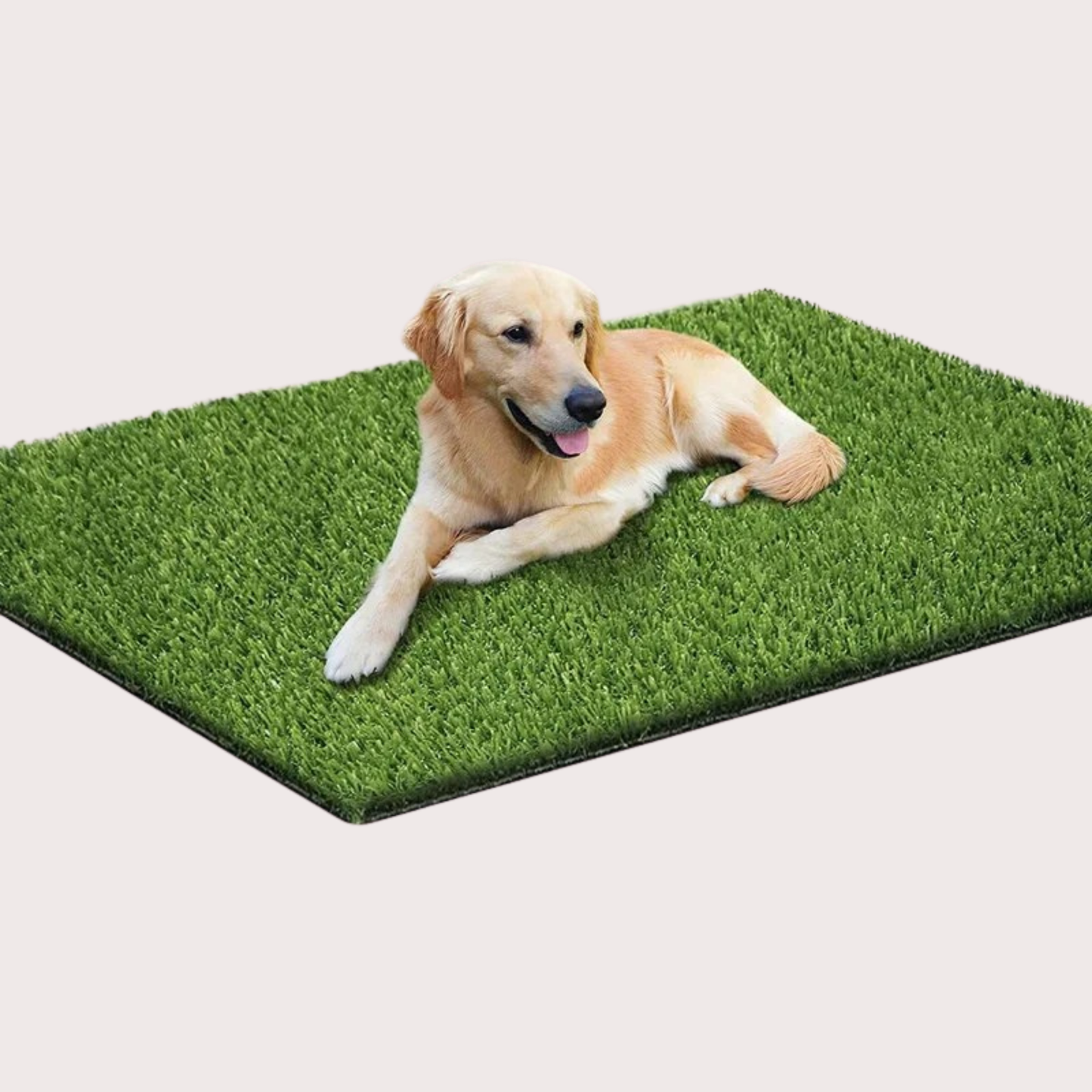 PatiKöşk™ Köpek Tuvalet Eğitim Seti