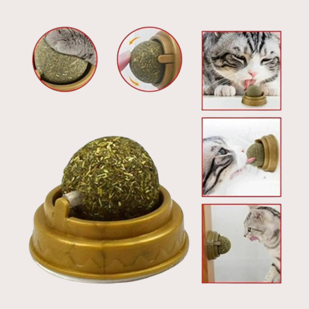 PatiKöşk™ Kedi Nanesi Oyun Topu (Ürün Kodu: PK 163)