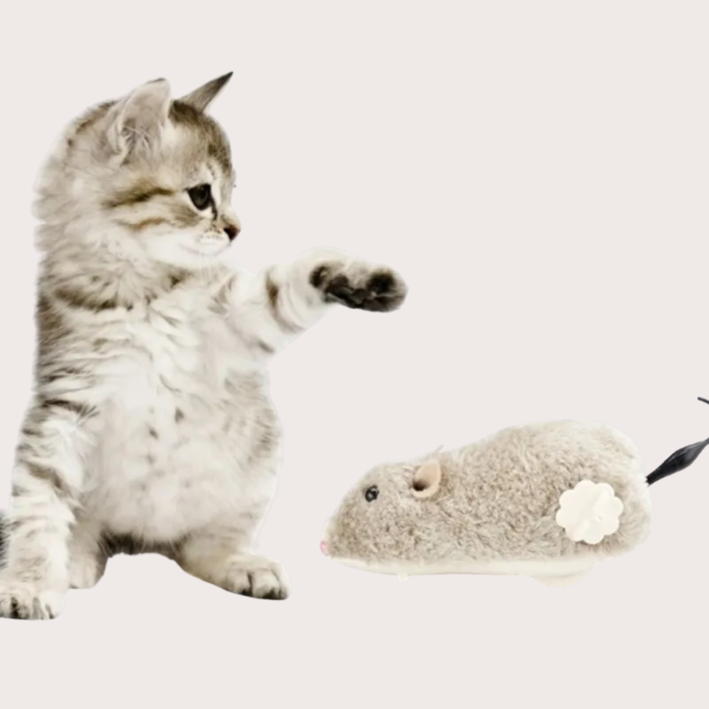 PatiKöşk™ Kurmalı Fare Kedi Eğitim Oyuncağı