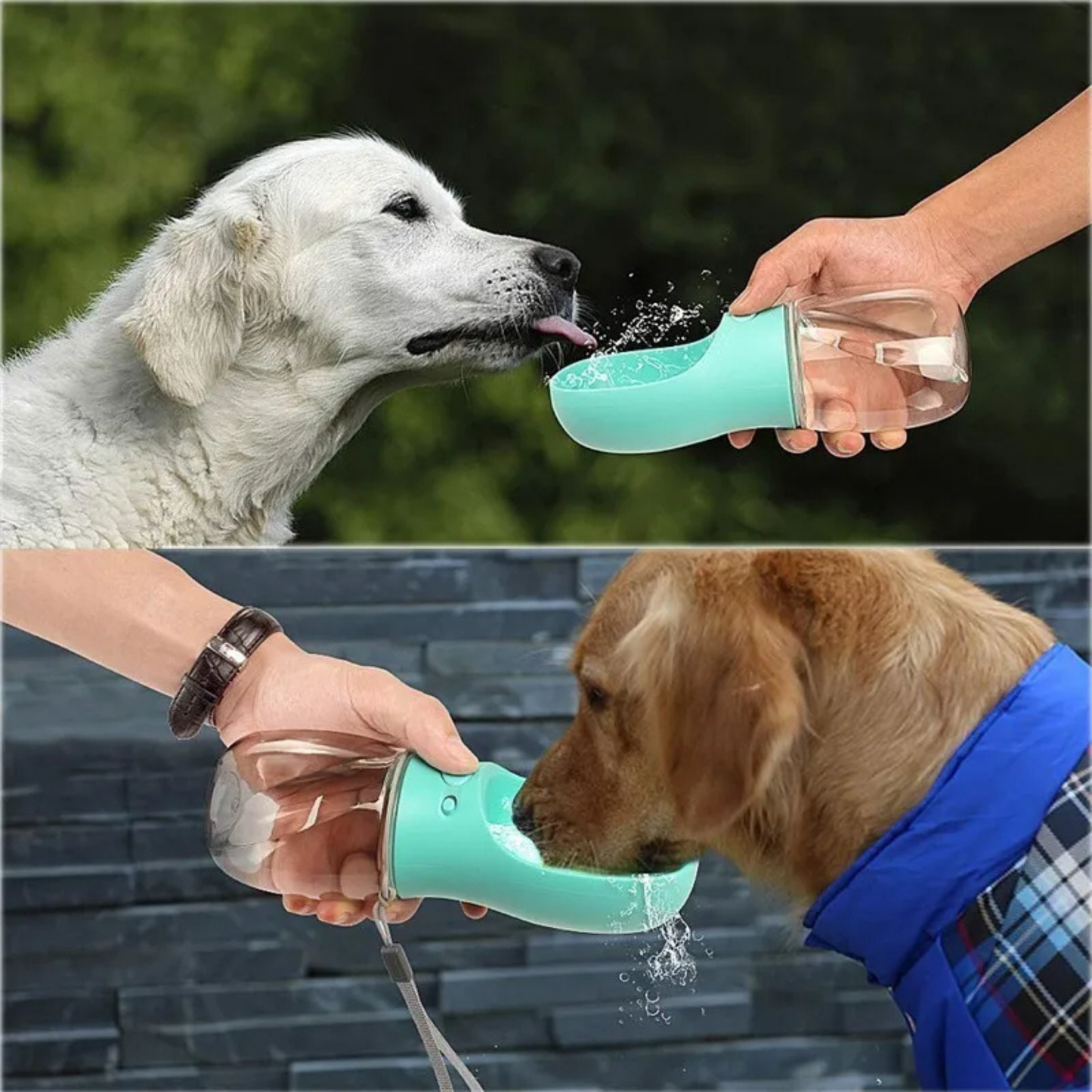 PatiKöşk™ Taşınabilir Köpek Su Matarası