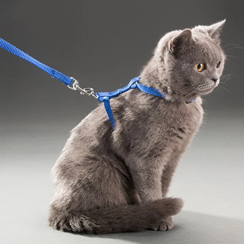 PatiKöşk™ Kedi Boyun ve Göğüs Tasması (Ürün Kodu: PK 132)