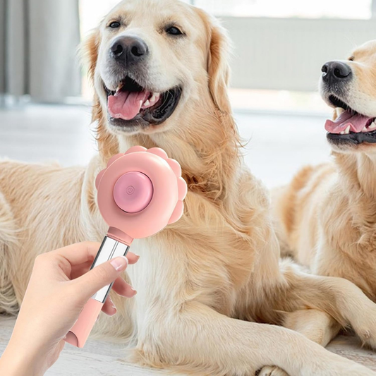 PatiKöşk™ Basmalı Telli Su Sprey Hazneli Hayvan Fırçası