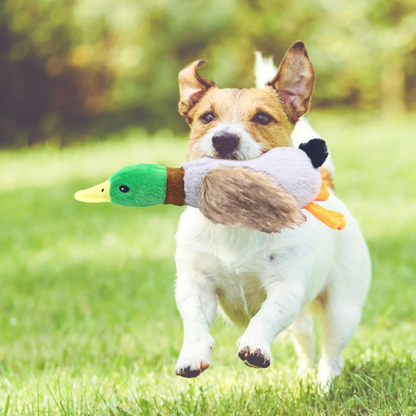 PatiKöşk™ Sesli Ördek Şekilli Peluş Köpek Oyuncağı