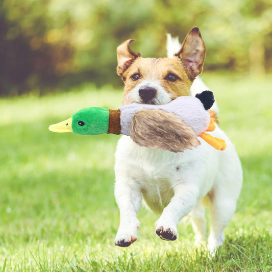 PatiKöşk™ Sesli Ördek Şekilli Peluş Köpek Oyuncağı