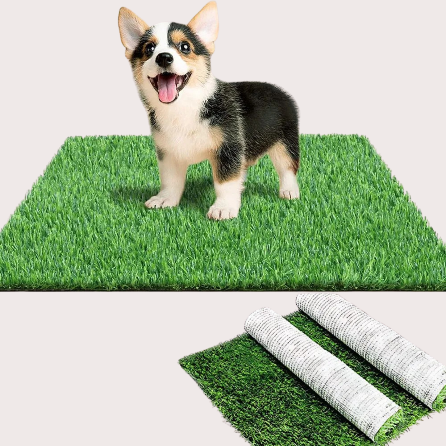 PatiKöşk™ Köpek Tuvalet Eğitim Seti (Ürün Kodu: PK 60)