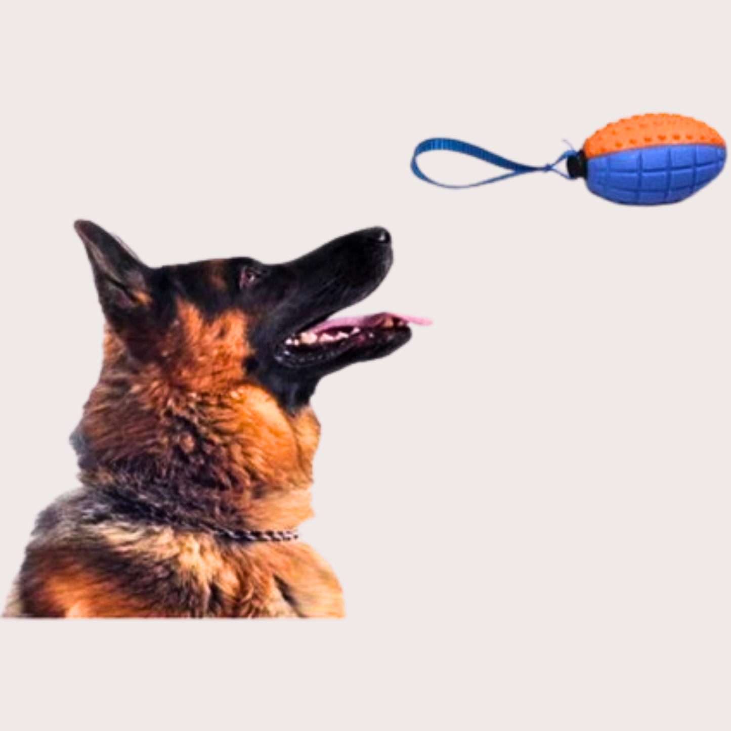 PatiKöşk™ Köpek Diş Kaşıma Oyun Topu (Ürün Kodu: PK 147)