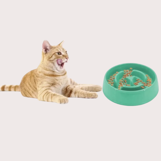 PatiKöşk™ Mikopet Yavaş Mama Yeme Kabı