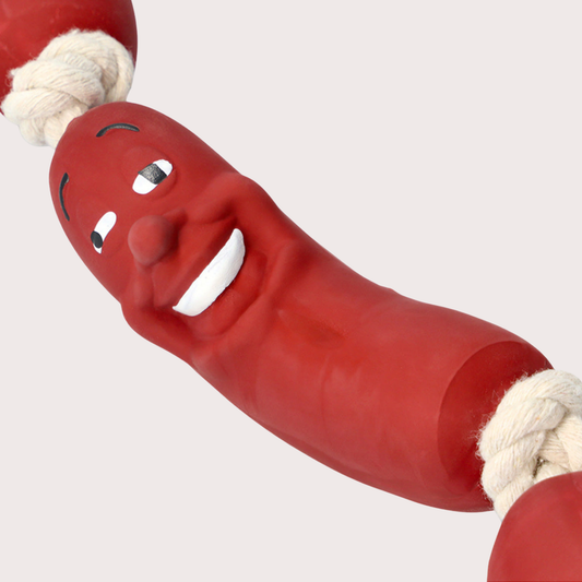 PatiKöşk™ Köpek Sosis Oyuncağı