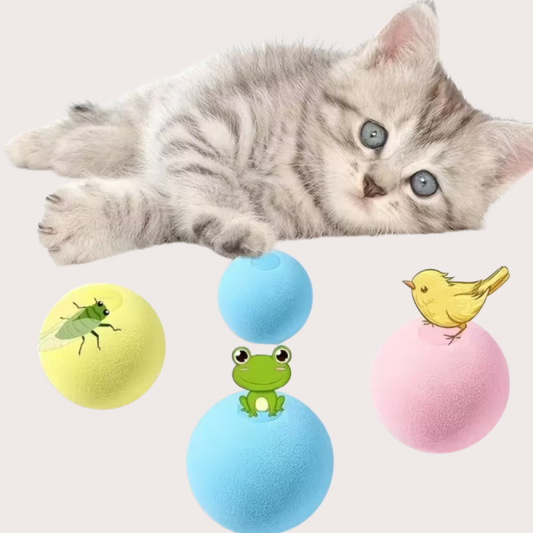 PatiKöşk™ Kedi Otlu 3 Sesli İnteraktif Top Kedi Oyuncağı (Ürün Kodu: PK 169)
