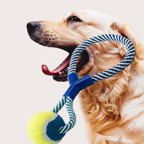 PatiKöşk™ Halatlı Köpek Çiğneme Topu (Ürün Kodu: PK 130)