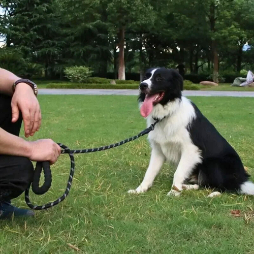 PatiKöşk™ Reflektörlü Köpek Tasması 130 cm (Ürün Kodu: PK 94)