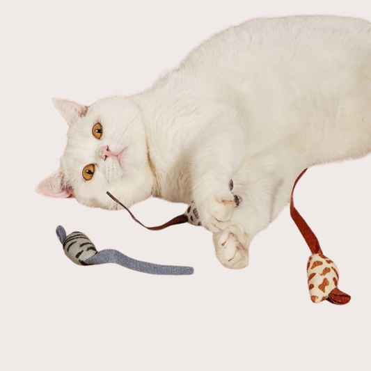 PatiKöşk™ Peluş Fare Kedi Oyuncağı 3 Adet