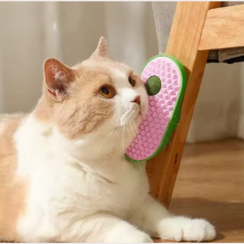PatiKöşk™ Silikon Kaşıyıcılı Kedi Otu (Ürün Kodu: PK 86)