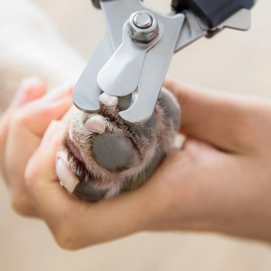 PatiKöşk™  Güvenlik Korumalı Evcil Hayvan Tırnak Makası (Ürün Kodu: PK 184)