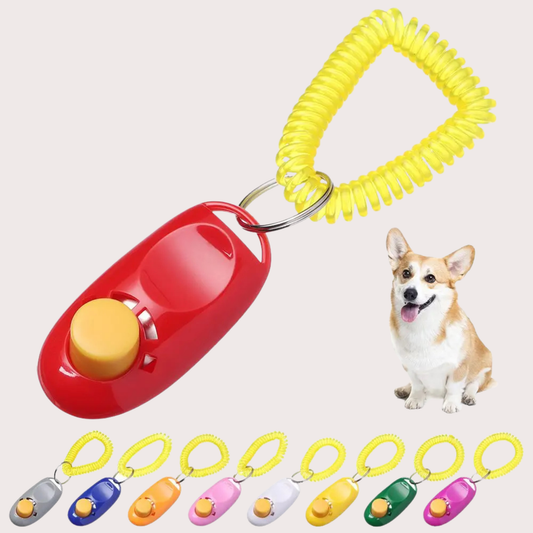 PatiKöşk™ Clicker Temelli Köpek Eğitimi