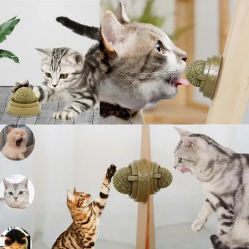 PatiKöşk™ Kedi Nanesi Oyun Topu (Ürün Kodu: PK 163)