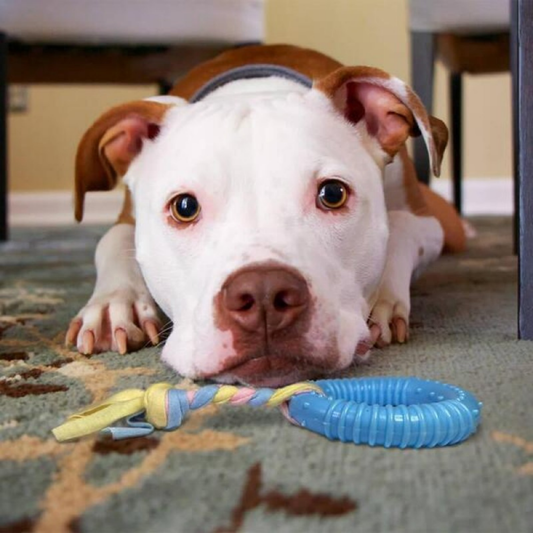 PatiKöşk™ Dayanıklı Köpek Diş Kaşıyıcı Ve Çiğneme Oyuncağı (Ürün Kodu: PK 172)