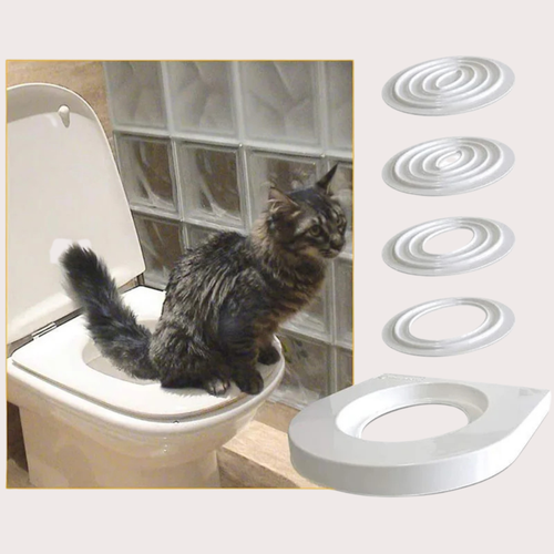 PatiKöşk™ CitiKitty Kedi Tuvalet Eğitim Seti (Ürün Kodu: PK 52)