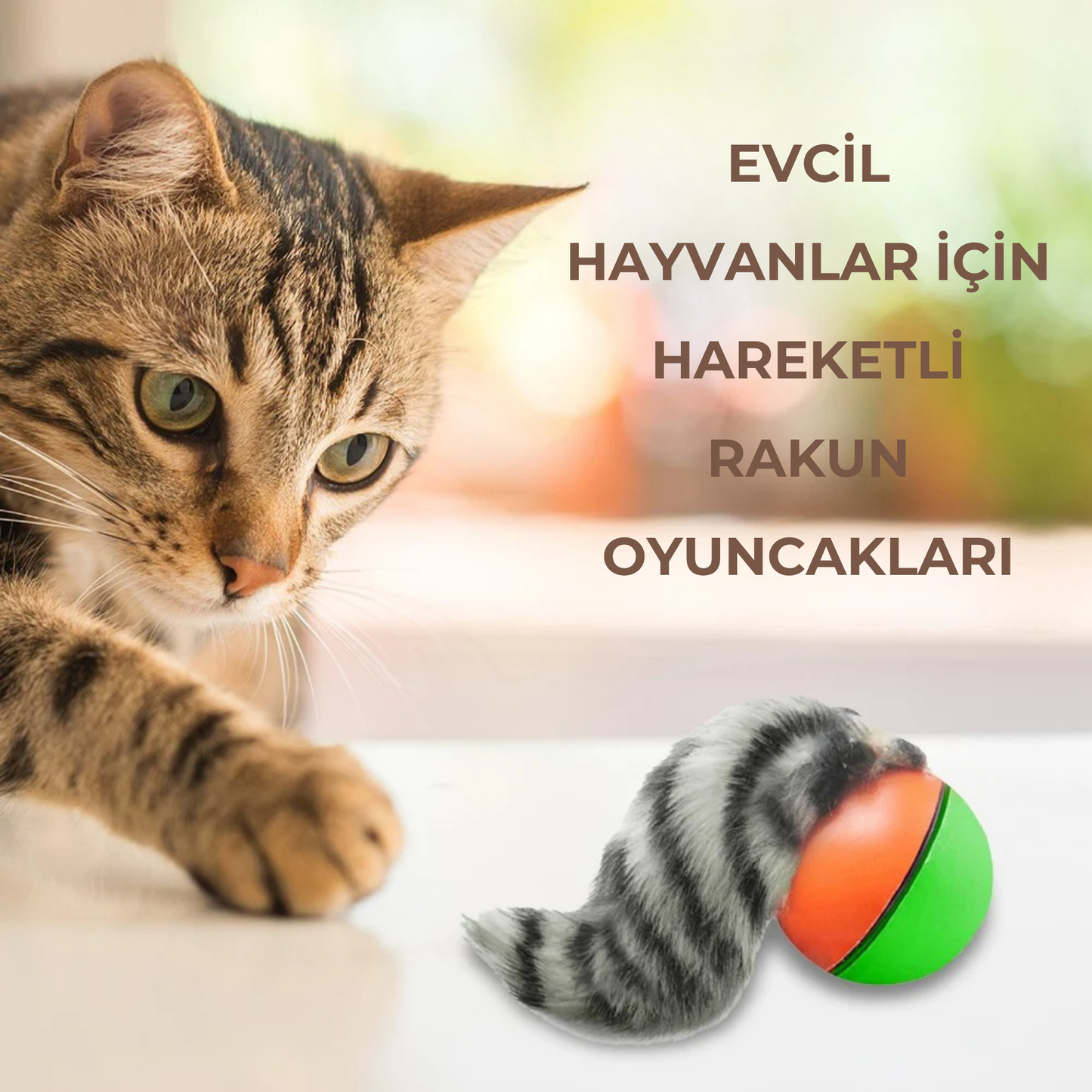 PatiKöşk™ Evcil Hayvanlar İçin Eğlenceli Hareketli Rakun Oyuncağı (Ürün Kodu: PK 12)
