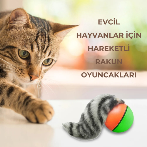 PatiKöşk™ Evcil Hayvanlar İçin Eğlenceli Hareketli Rakun Oyuncağı (Ürün Kodu: PK 12)