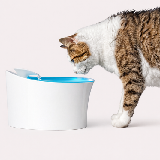 PatiKöşk™ Otomatik Uyarılı Evcil Hayvan Su Kabı (Ürün Kodu: PK 189)