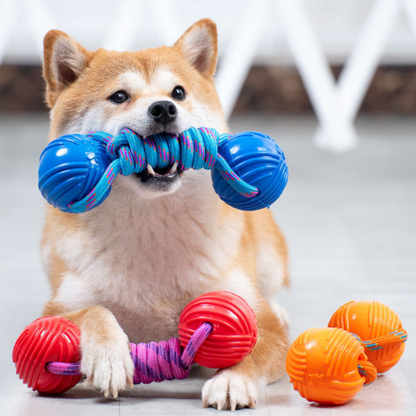 PatiKöşk™ Köpekler İçin Dayanıklı Kauçuk Toplu Oyuncak (Ürün Kodu: PK 80)