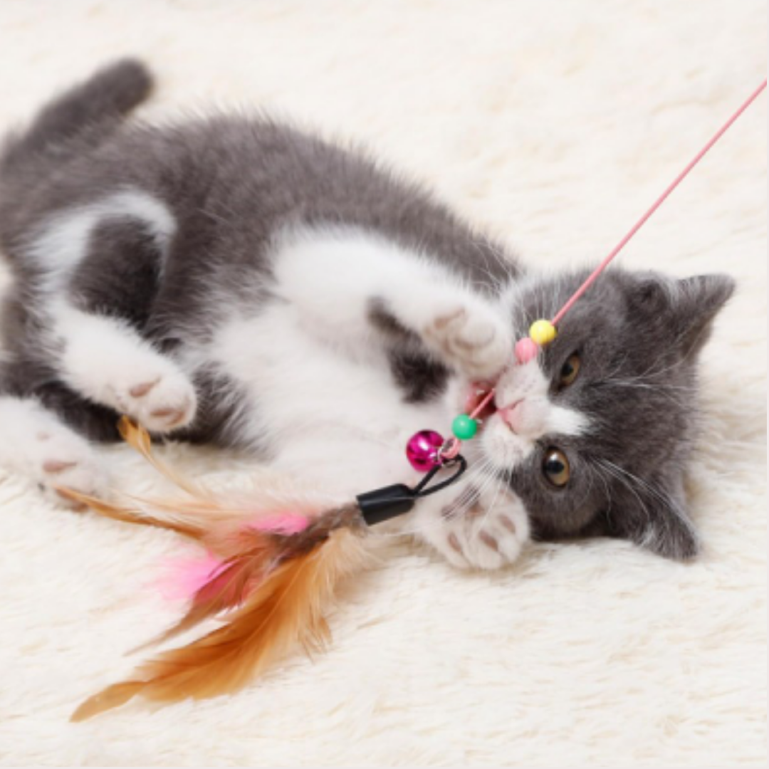 PatiKöşk™ Kedi Oyun Oltası (Ürün Kodu: PK 107)