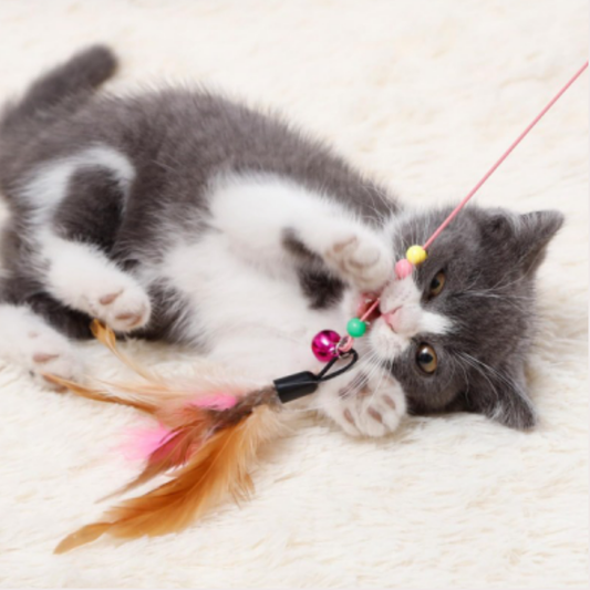 PatiKöşk™ Kedi Oyun Oltası (Ürün Kodu: PK 107)