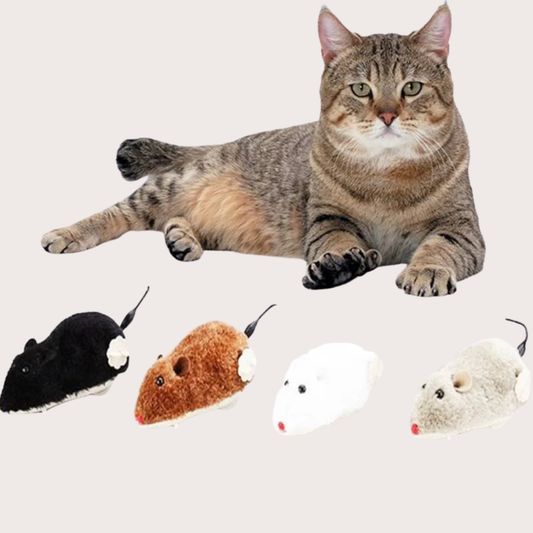 PatiKöşk™ Kurmalı Fare Kedi Eğitim Oyuncağı