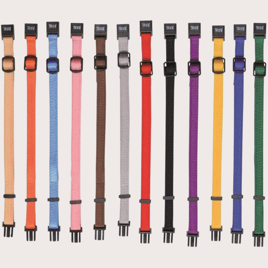 PatiKöşk™ Zilli Kedi Tasması