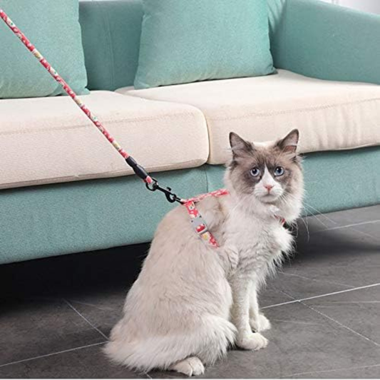PatiKöşk™ Kedi Gezdirme Göğüs Tasması