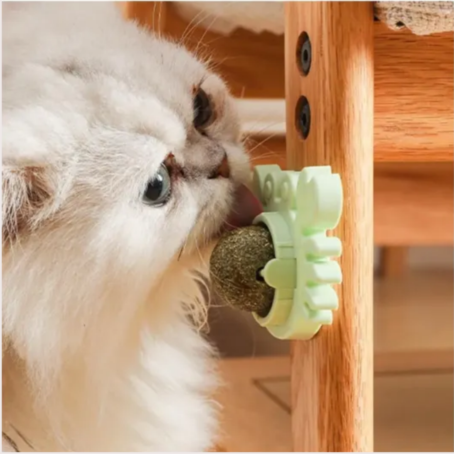 PatiKöşk™ Yengeç Kedi Otu Oyun Topu (Ürün Kodu: PK 170)