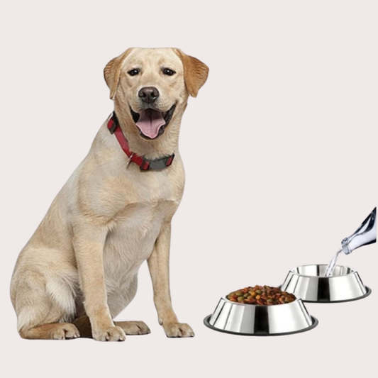 PatiKöşk™ Paslanmaz Çelik Metal Mama Kabı 34 cm