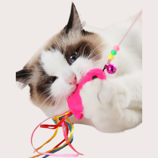 PatiKöşk™ Balıklı Kedi Oyun Oltası