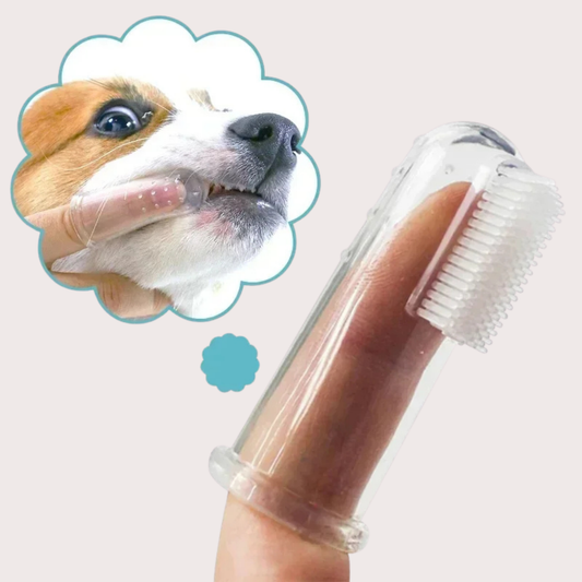 PatiKöşk™ Süper Yumuşak Evcil Hayvan Parmak Diş Fırçası 4'lü Paket