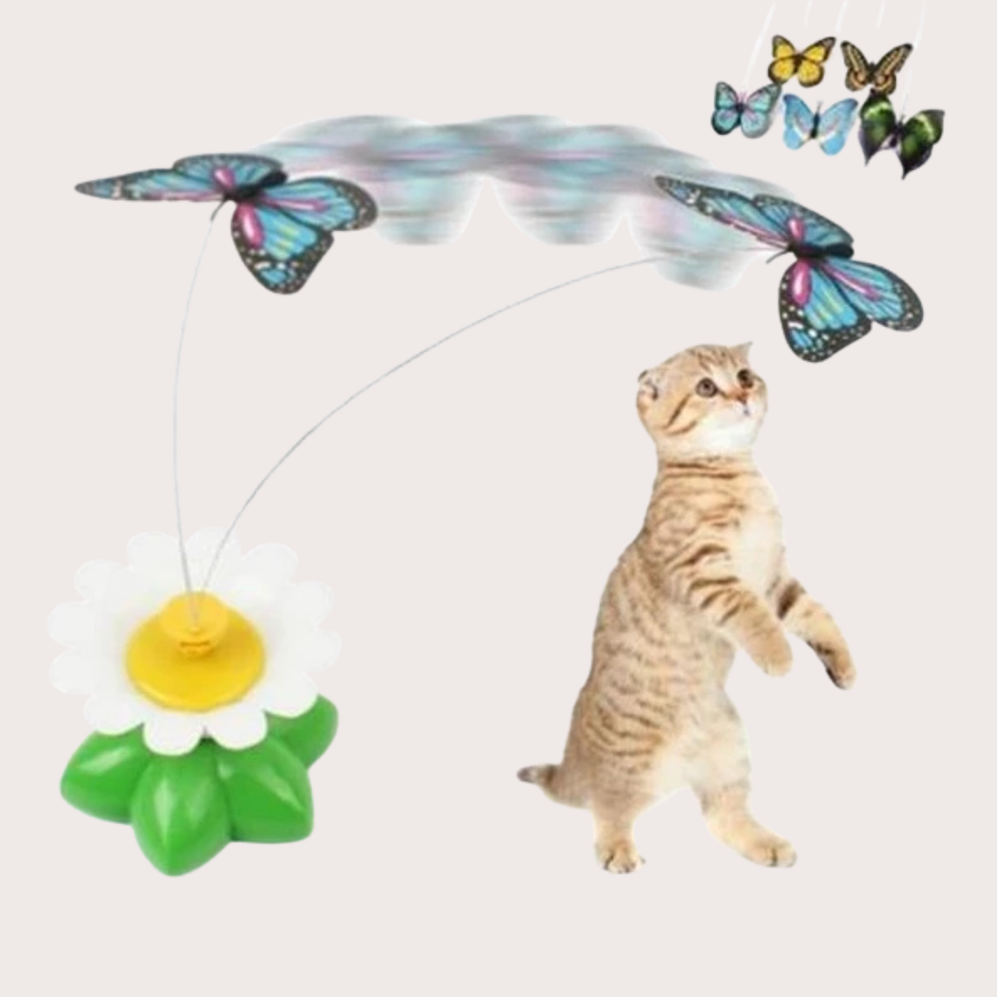 PatiKöşk™ Hareketli Pilli Kelebek Kedi Oyuncağı (Ürün Kodu: PK 121)
