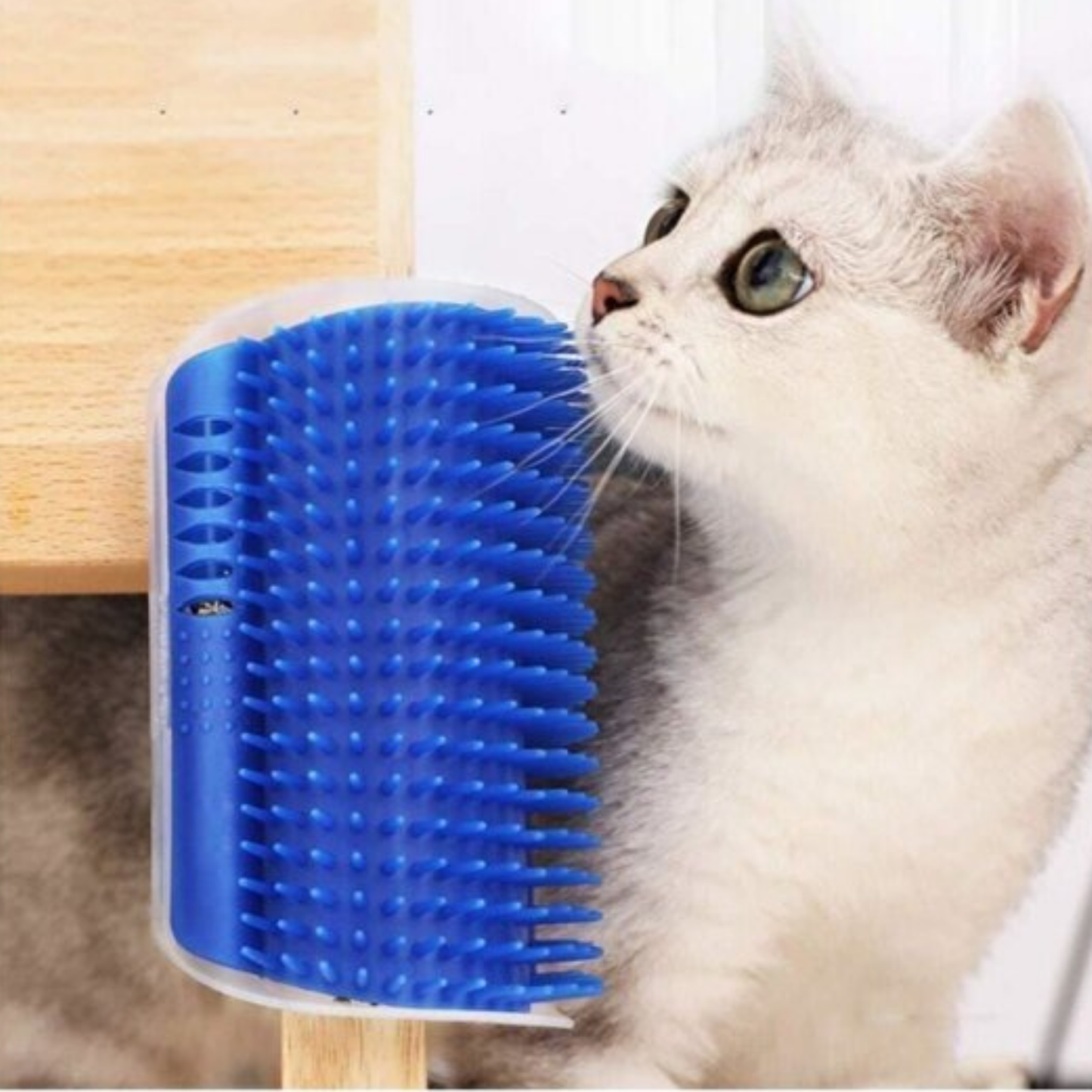 PatiKöşk™ Kedi Kaşınma Fırçası (Ürün Kodu: PK 124)