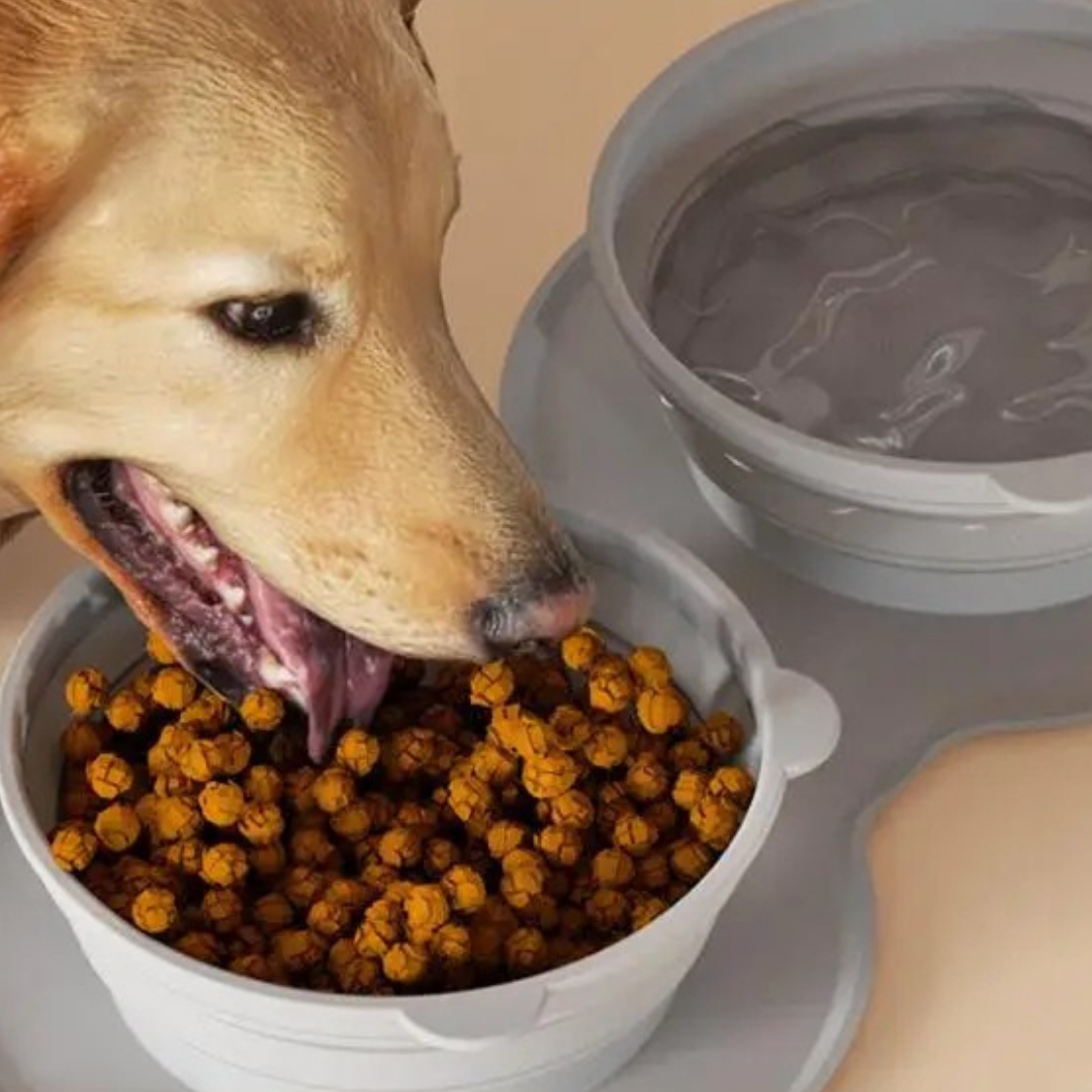 PatiKöşk™ Katlanabilir İkili Mama ve Su Kabı (Ürün Kodu: PK 95)