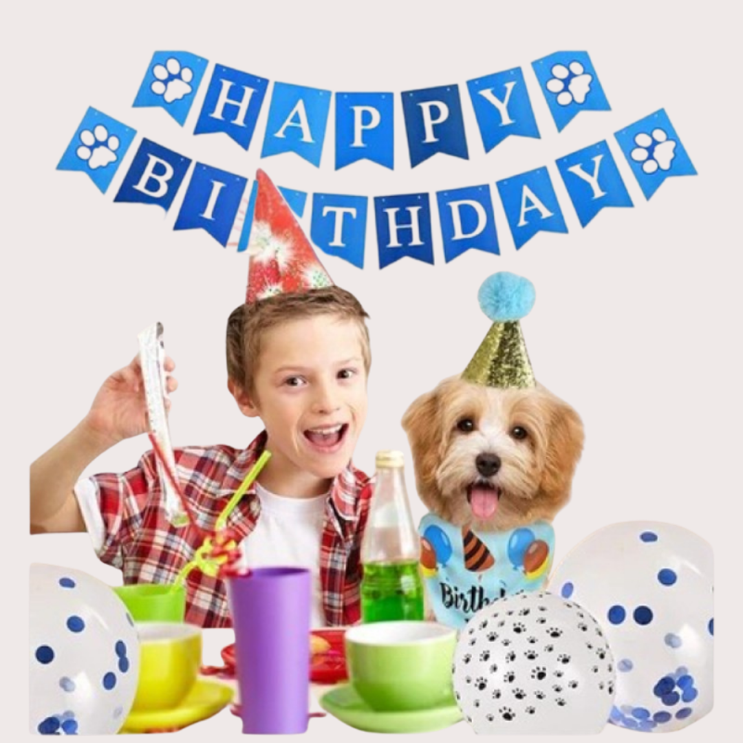 PatiKöşk™ Köpekler İçin Doğum Günü Partisi Seti (Ürün Kodu: PK 97)