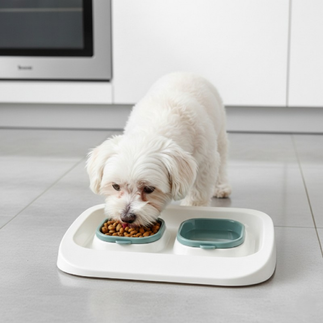 PatiKöşk™ Mikopet 2'si 1 Arada Mama Ve Su Kabı (Ürün Kodu: PK 96)